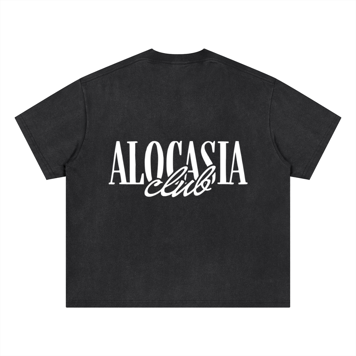 Alocasia Club Boxy Tee